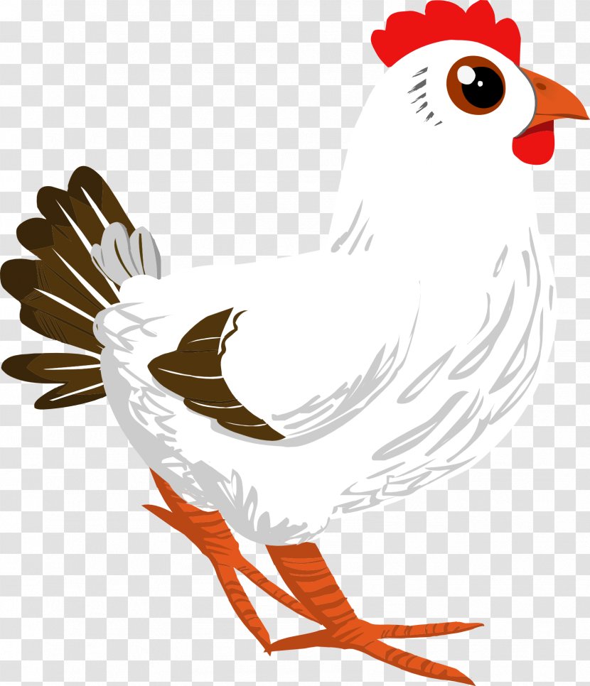 Cochin Chicken Hen Rooster Poultry - Duckling Transparent PNG