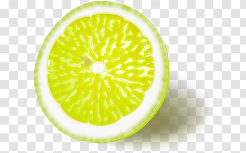 Lemon Lime Orange Clip Art - Citron - Juice Transparent PNG