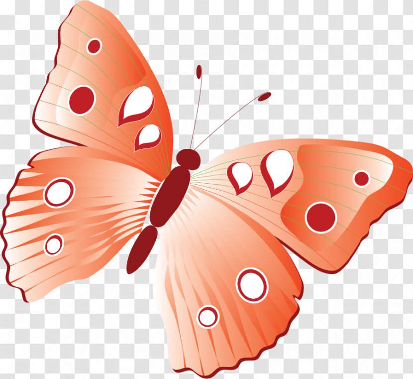 Monarch Butterfly Image Insect - Invertebrate Transparent PNG