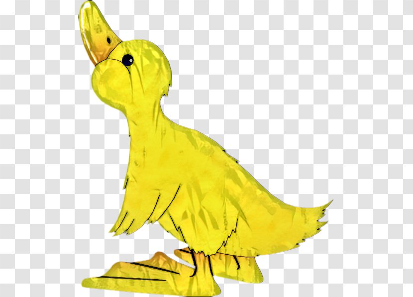 Duck Clip Art Swans Goose Bird - Yellow - Tail Transparent PNG
