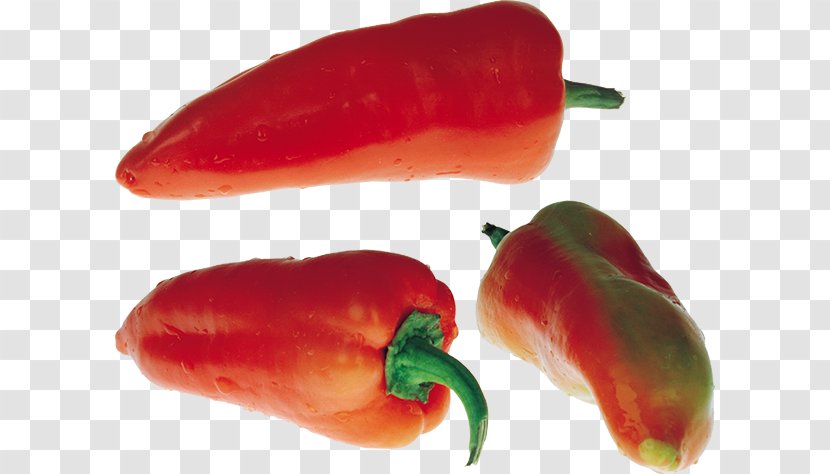 Chili Pepper Jalapeño - Pimiento - Paprika Transparent PNG