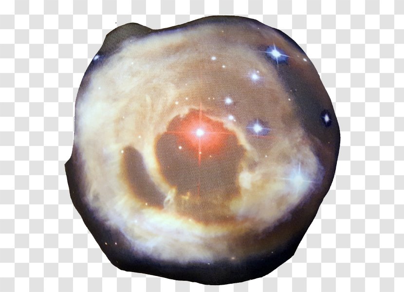 Stone And The T-Raptors V838 Monocerotis Snout Toronto Raptors Monoceros - Van Gogh Museum Transparent PNG