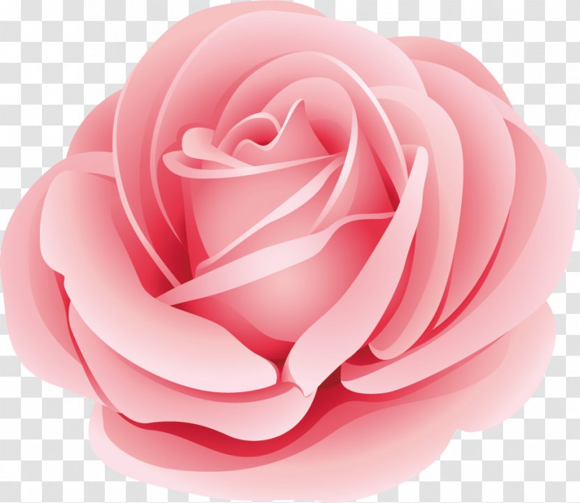 Vector Graphics Flower Image Illustration Royalty-free - Red Transparent PNG