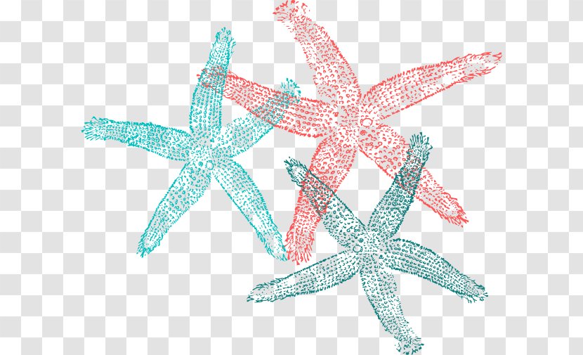 Starfish Clip Art - Marine Invertebrates Transparent PNG