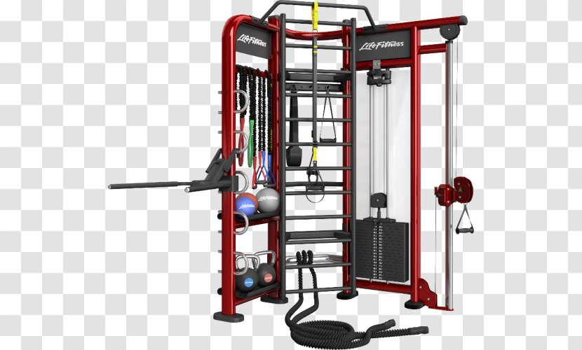 Fitness Centre Exercise Equipment Physical Weight Training - Strength Transparent PNG