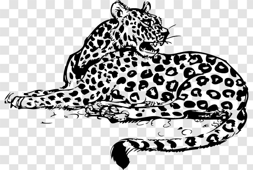 Whiskers Leopard Jaguar Wildcat Transparent PNG