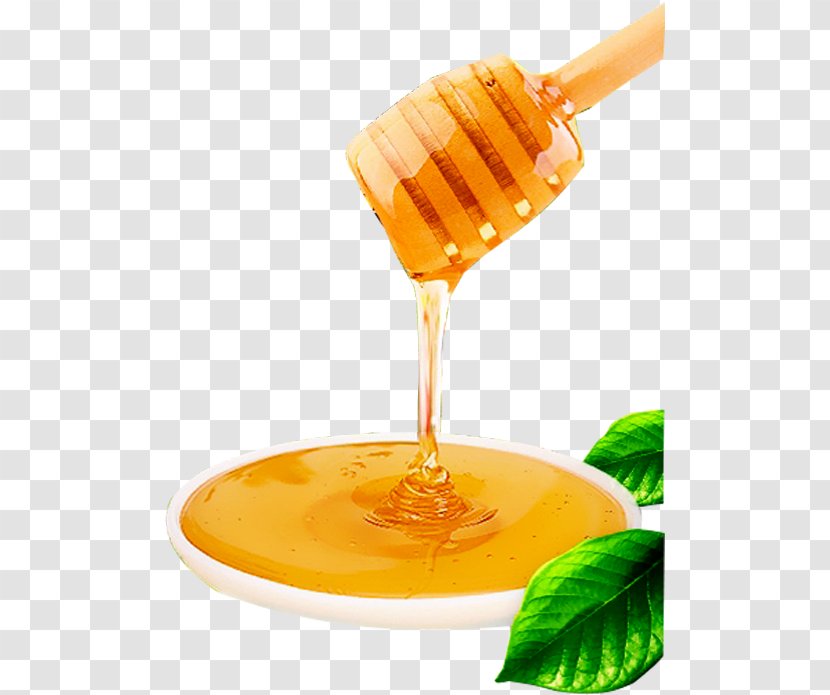 Honey Bee Food Candy - Natural Transparent PNG
