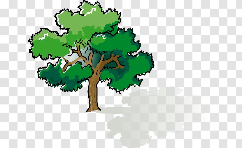 Shade Tree Oak Clip Art - Branch - Environmental Nature Transparent PNG