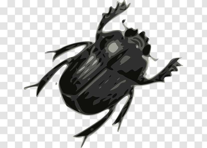 Beetle The Beatles Drawing Clip Art - Watercolor Transparent PNG