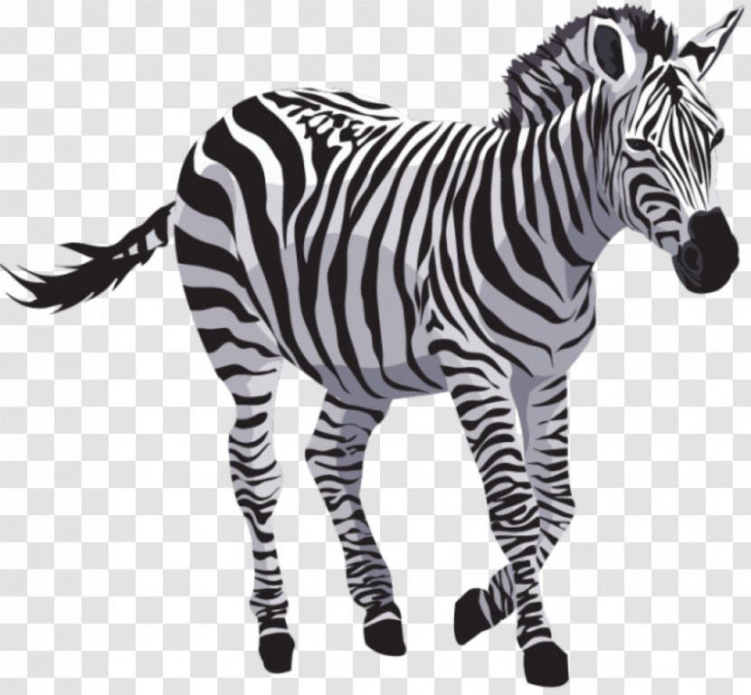 Zebra Quagga Clip Art - Horse Like Mammal Transparent PNG