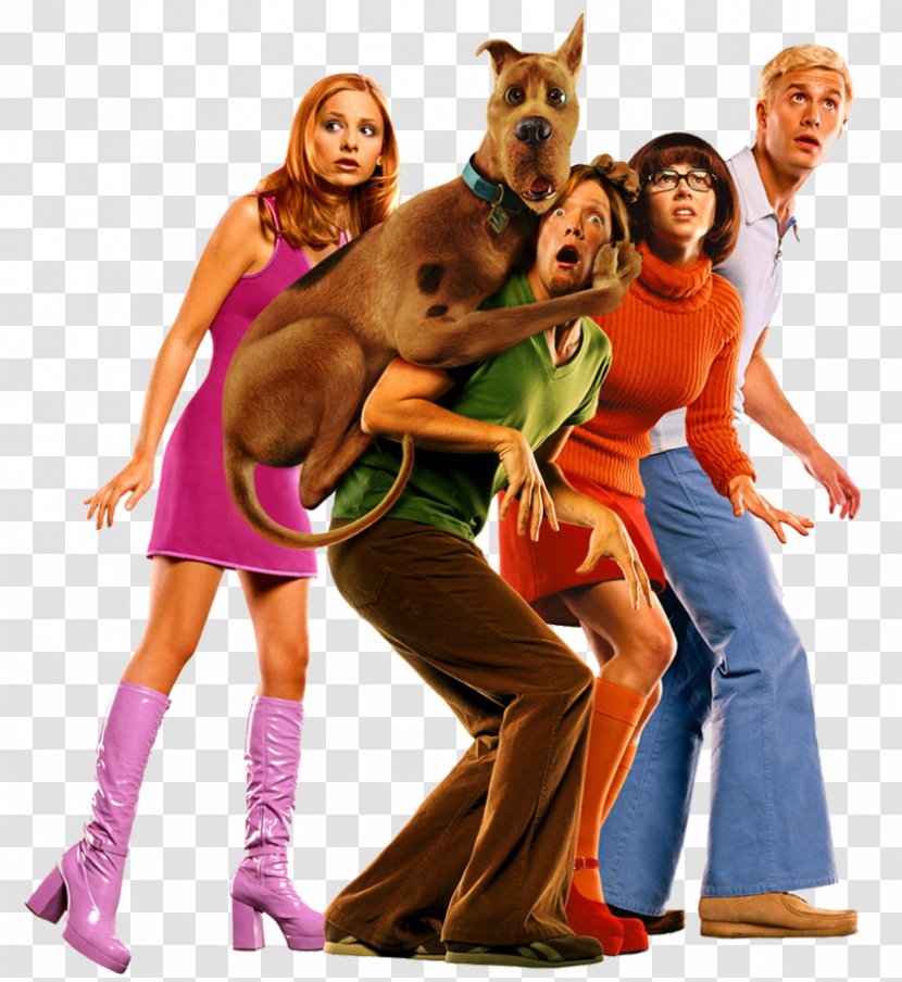 Fred Jones Scooby Doo Scrappy-Doo Film Scooby-Doo - Freddie Prinze Jr Transparent PNG
