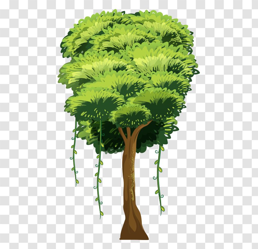 Tree Royalty-free Illustration - Drawing - Tree,Trees Transparent PNG