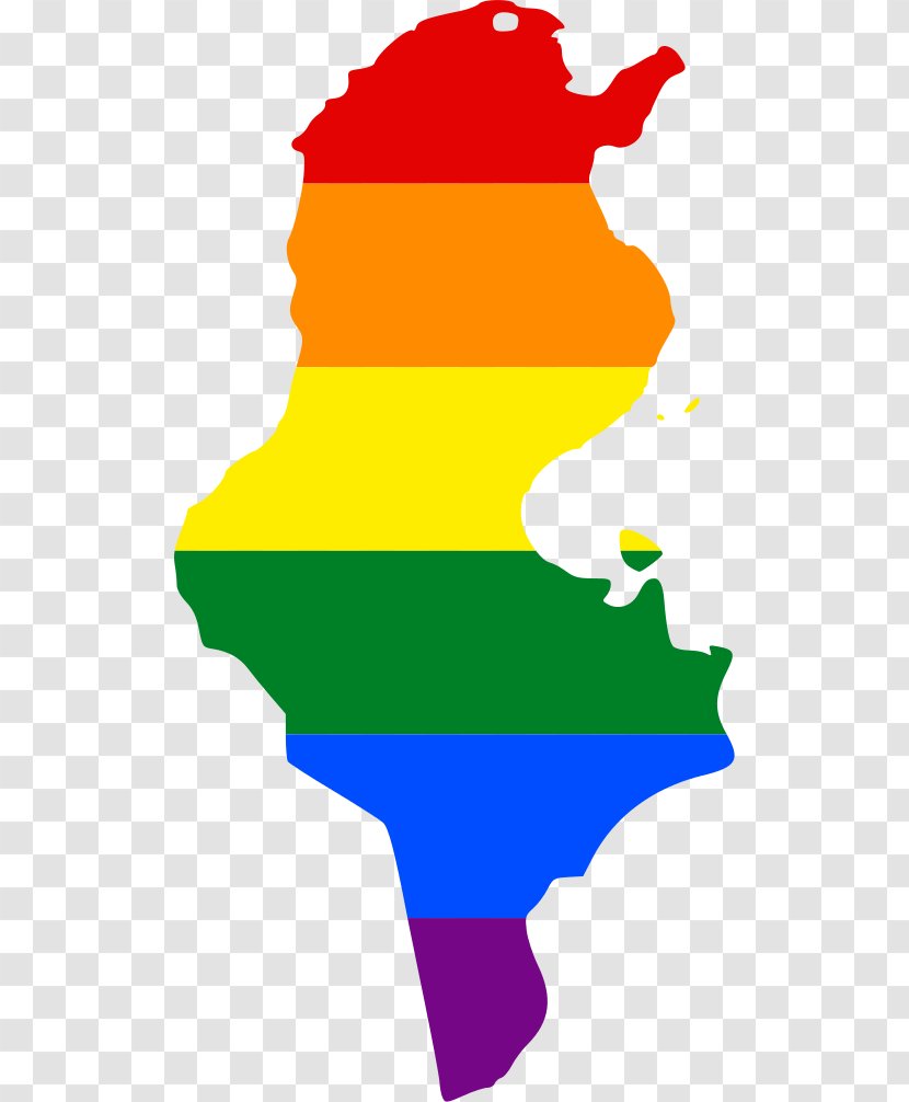 LGBT Rights By Country Or Territory Rainbow Flag Tunisia Colombia - Flower - Cartoon Transparent PNG