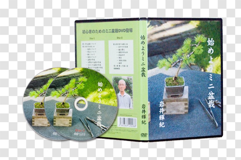 Bonsai 苔 Crock Plant DVD - Jaket Transparent PNG