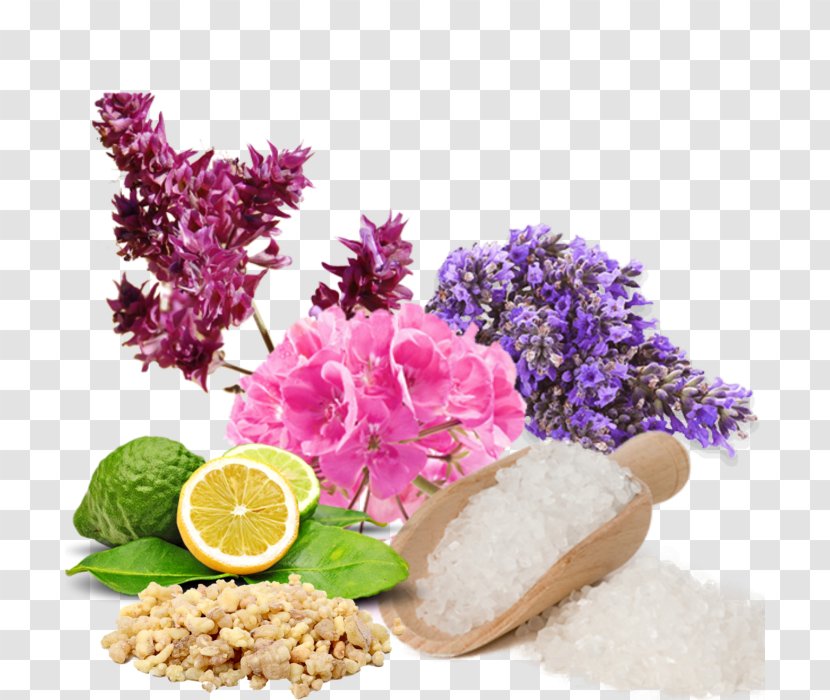 Aromatherapy Olfaction Dietary Supplement Health - Commodity - Bath Salt Transparent PNG