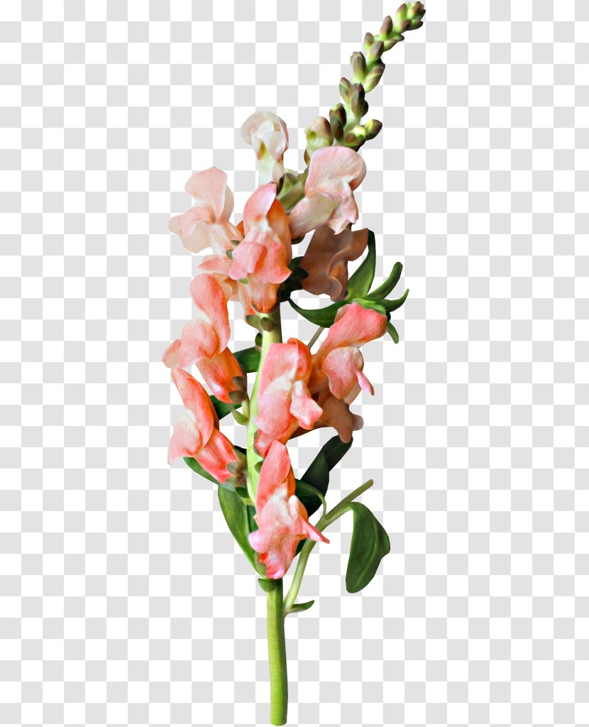 Floral Design Cut Flowers Flower Bouquet Clip Art - Floristry Transparent PNG