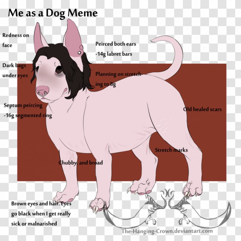 Cat Dog Breed Non-sporting Group Horse - Joint Transparent PNG