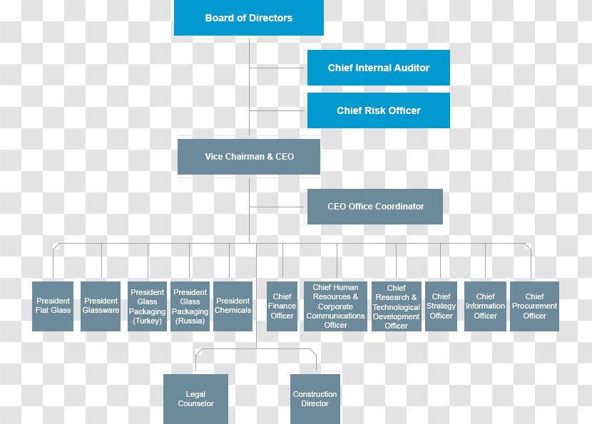 Organizational Chart Management Board Of Directors Structure - Organization Transparent PNG