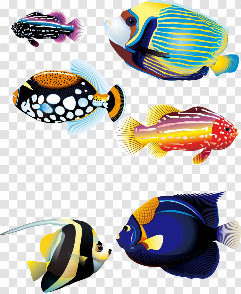 Carassius Auratus Tropical Fish Animal - Several Colorful Marine Transparent PNG