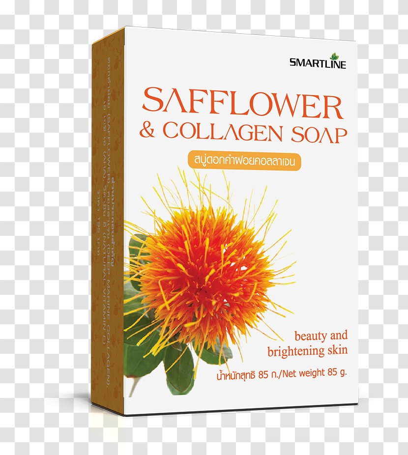 Safflower Dietary Supplement Collagen Food Cleanser - Fish Oil Transparent PNG