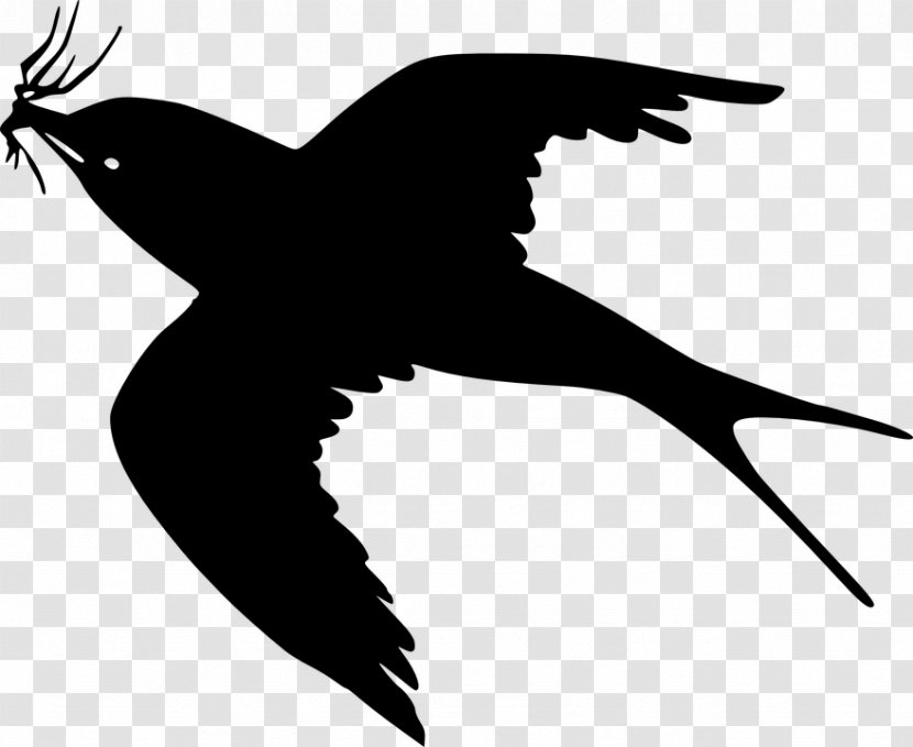 Bird Flight Cartoon Clip Art - Monochrome - Vogelschwarz Transparent PNG