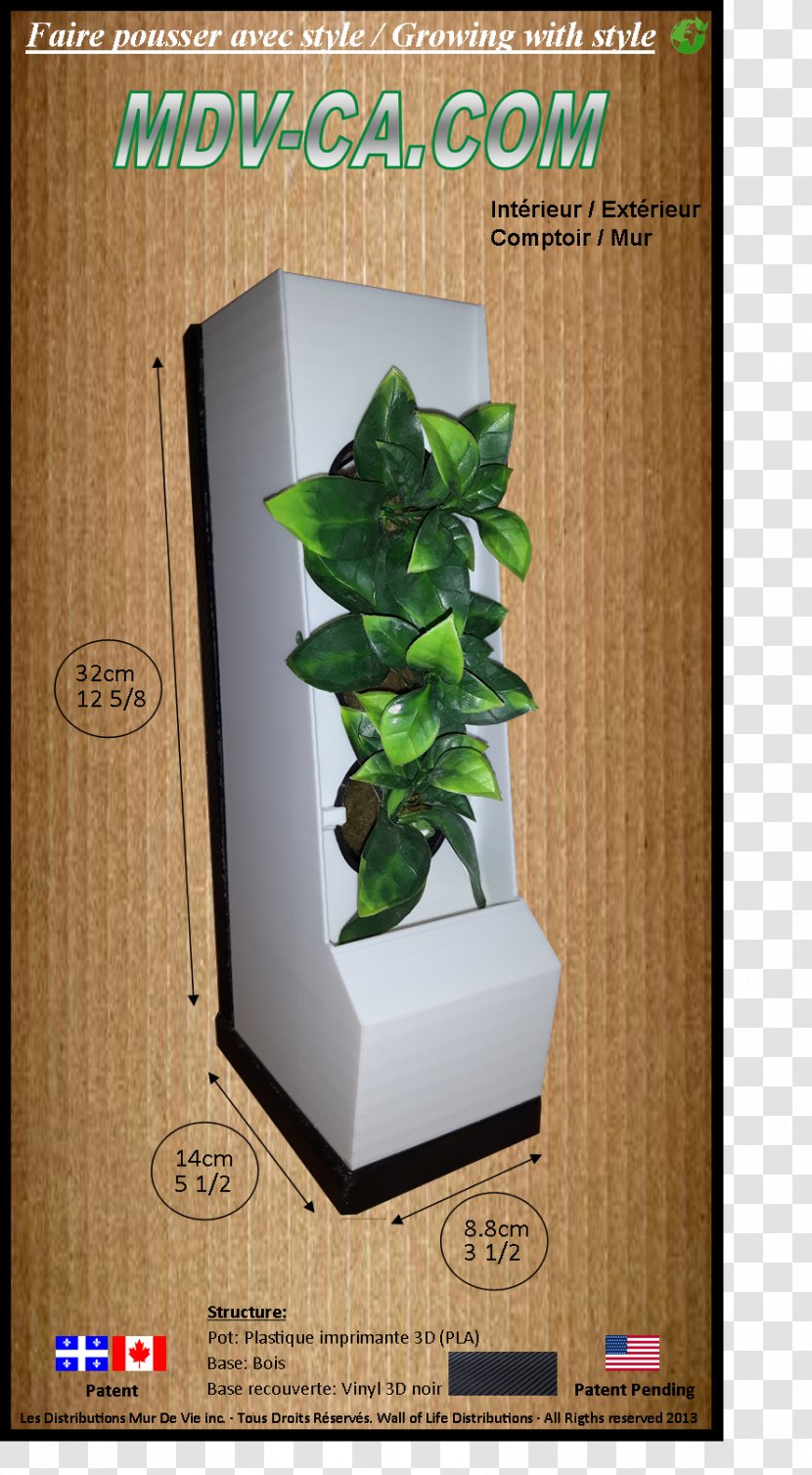 Flowerpot Houseplant Leaf Herb Text Messaging - Wall Plants Transparent PNG