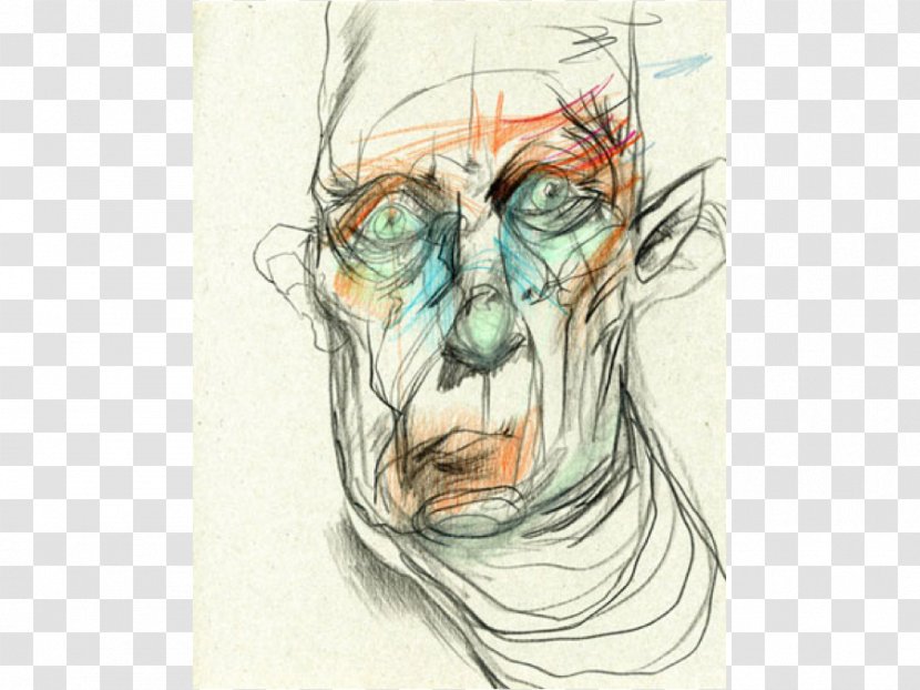 Blind Contour Drawing Figure Sketch - Art - Fiction Transparent PNG