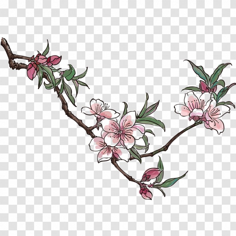 Blossom Drawing Vector Graphics Peach Clip Art - Flower - Ameixa Button Transparent PNG