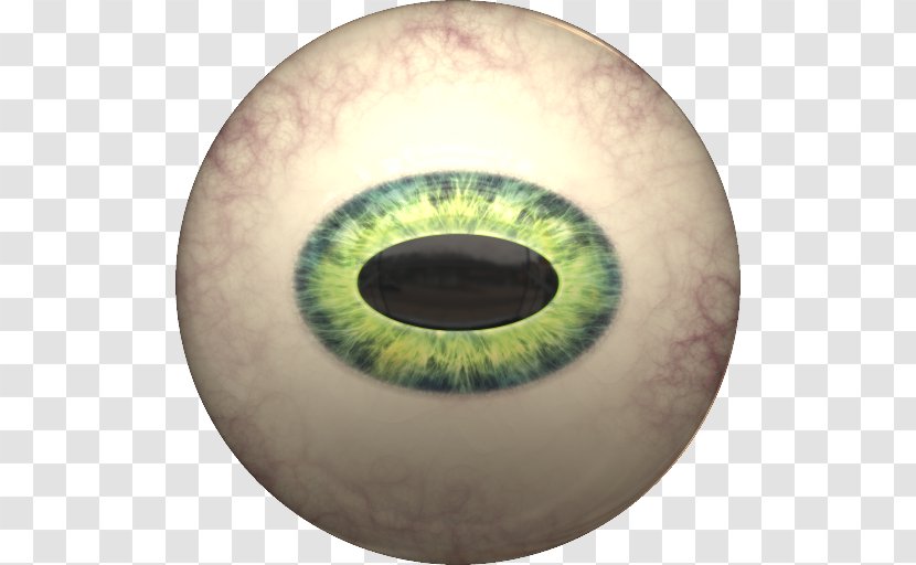 Reptile Iris Cat's Eye Esthesiometer - Watercolor - Octopus Ball Transparent PNG