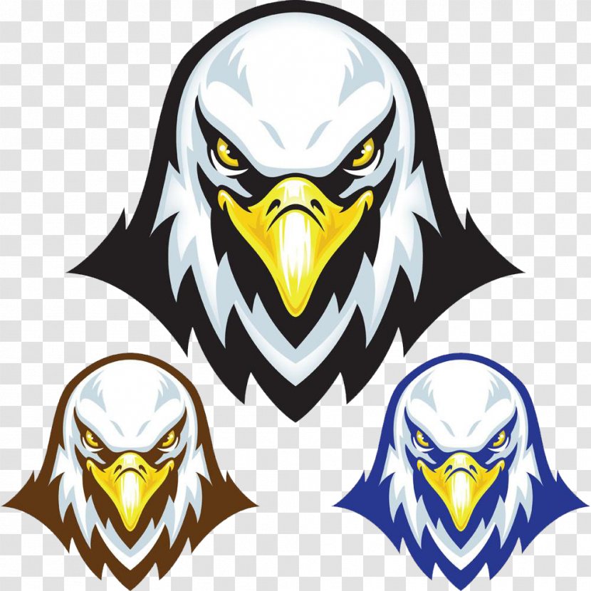Bald Eagle Stock Illustration Mascot - Accipitridae - Head Logo Transparent PNG