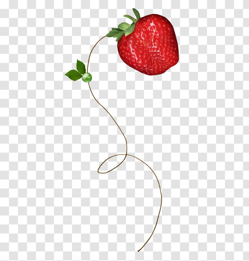 Strawberry LiveInternet Clip Art - Rss Transparent PNG