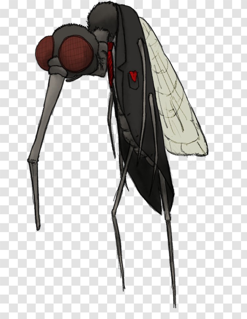 Insect - Arthropod Transparent PNG