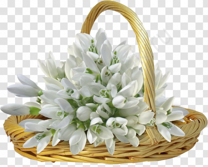 Snowdrop Flower Bouquet - Cut Flowers Transparent PNG