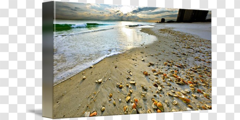 Navarre Shore Seashell Sand Beach - Dune - Sunset Transparent PNG