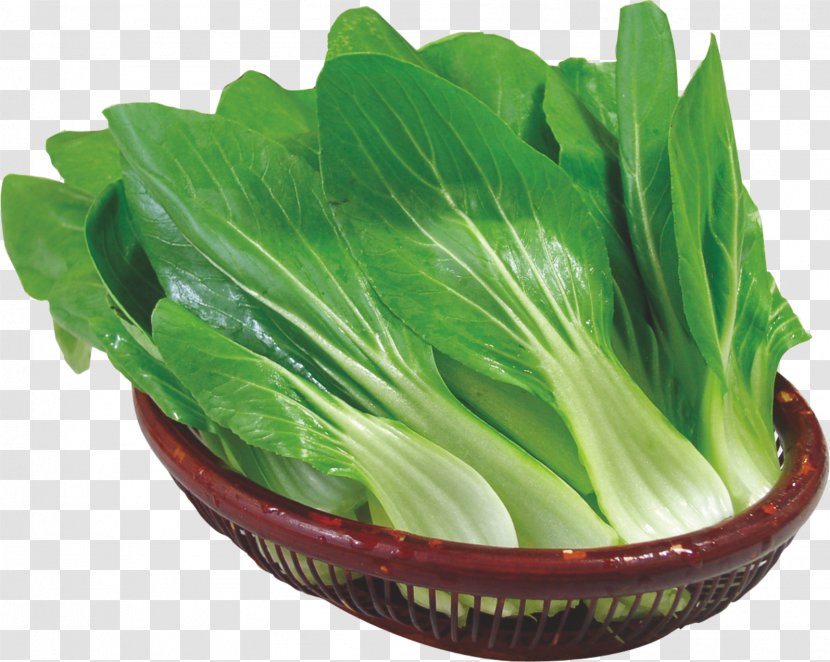 Romaine Lettuce Choy Sum Spring Greens Vegetable - Cabbage - Fresh Transparent PNG