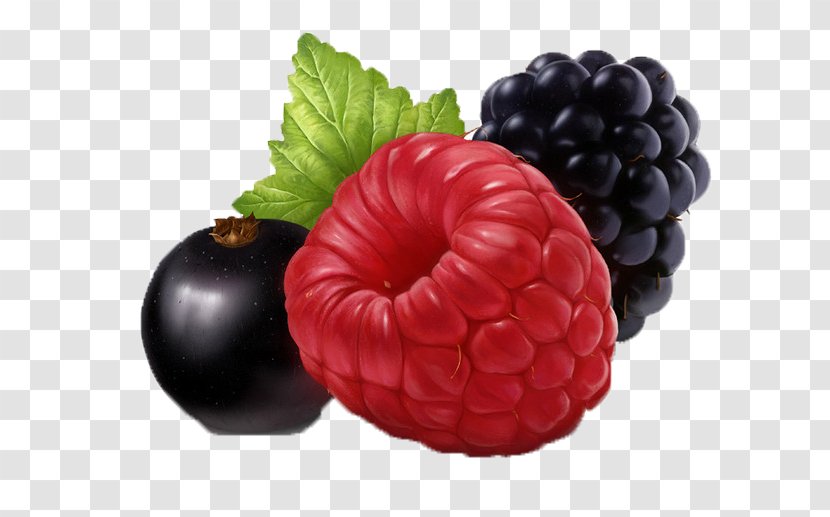 Blueberry Grape Red Raspberry Wine - Fruit Transparent PNG