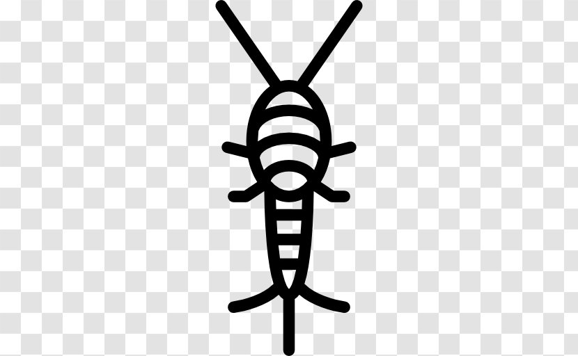 Pest Insect Silverfish Clip Art - Black And White Transparent PNG