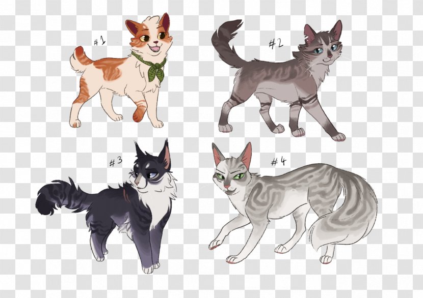 Kitten Whiskers Cat Warriors Drawing - Small To Medium Sized Cats Transparent PNG