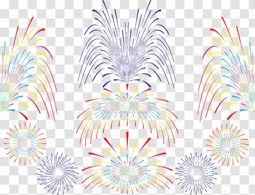 Illustration Vector Graphics Fireworks Euclidean - Flowering Plant Transparent PNG