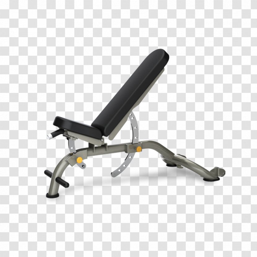 Bench Weight Training Exercise Equipment Fitness Centre Matrix - Sports Transparent PNG