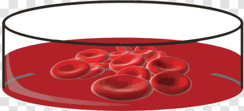 Woolly Mammoth Asian Elephant Blood Cell - Cartoon - Cells Transparent PNG