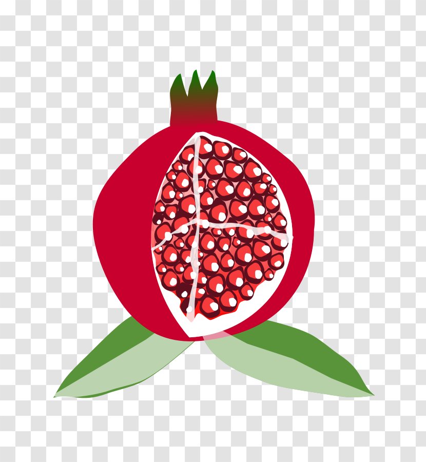 Fruit Pixabay Clip Art - Pomegranate - Vector Transparent PNG