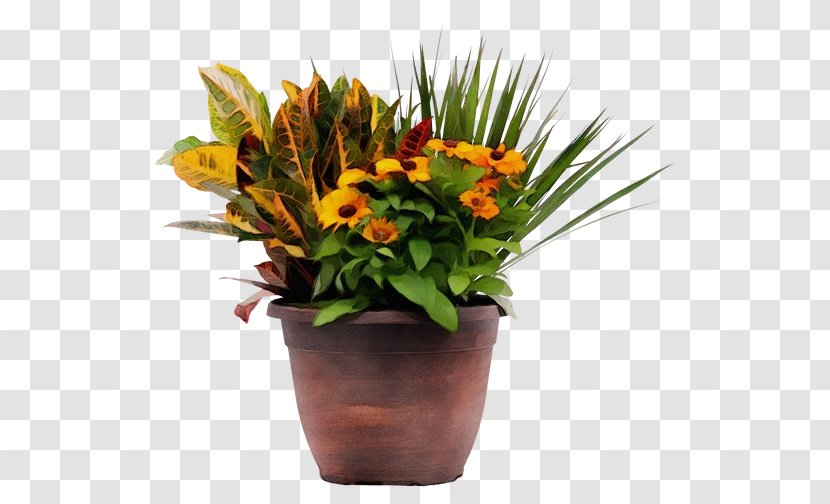 Bird Of Paradise - Plant - Cut Flowers Bouquet Transparent PNG