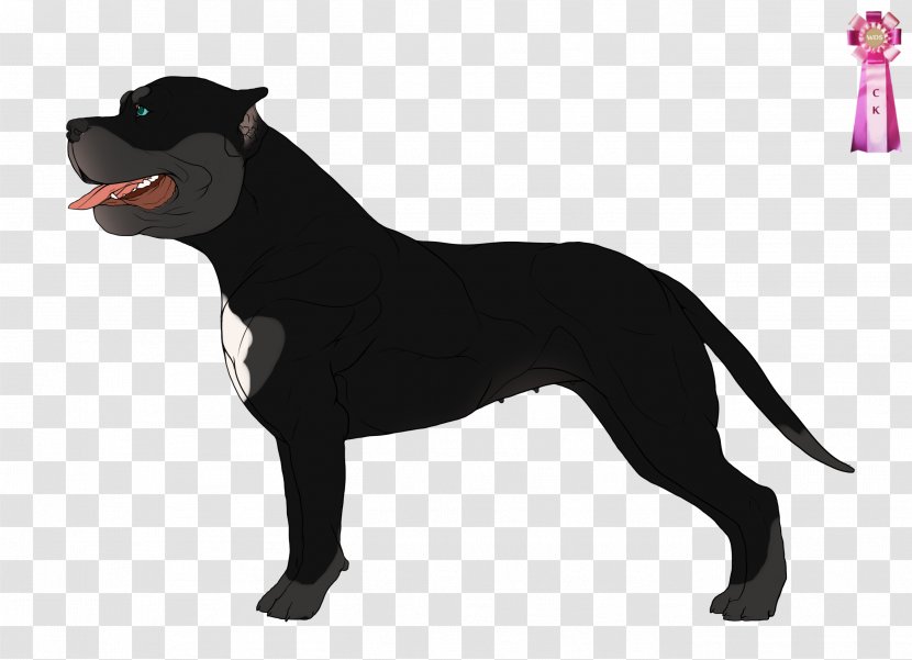 Cane Corso American Staffordshire Terrier Cat Collar Dog Breed - Animal Breeding - Ghost Rider Transparent PNG