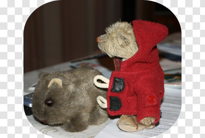 Alice Springs Wombat Outback Stuffed Animals & Cuddly Toys Travel - Muridae - Wombats Transparent PNG