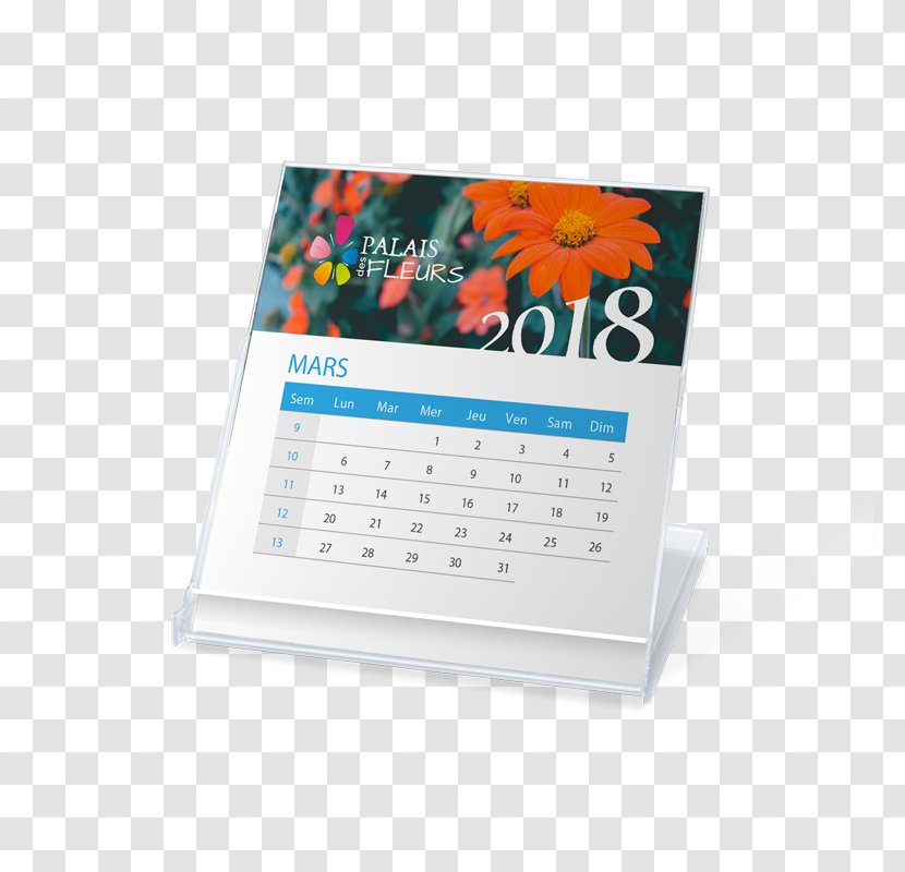 Calendar Multimedia - Office Supplies Transparent PNG