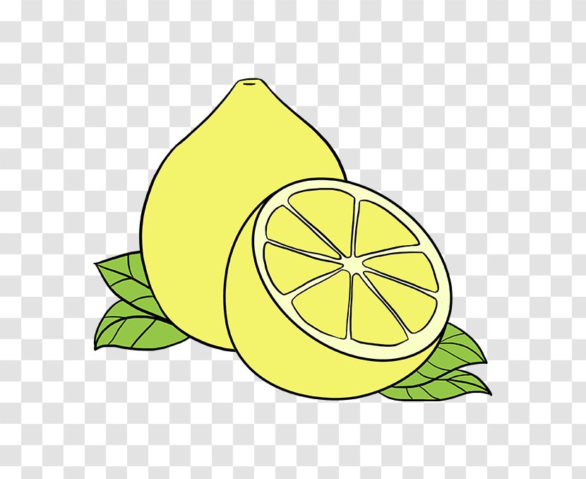 Lemon Lime Clip Art Drawing Juice - Yellow - Fruit Transparent PNG