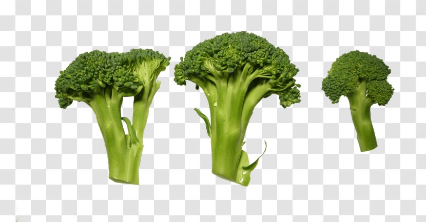 Broccoli Vegetable Clip Art - Grass Transparent PNG