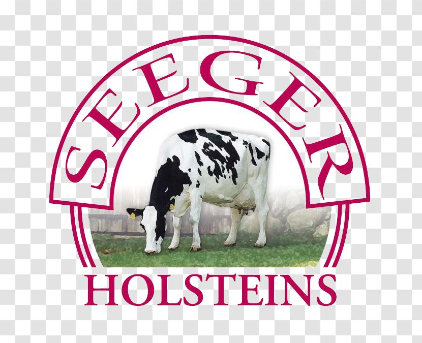 Hof Seeger Holstein Friesian Cattle Taurine Farm Milk - Grass Transparent PNG