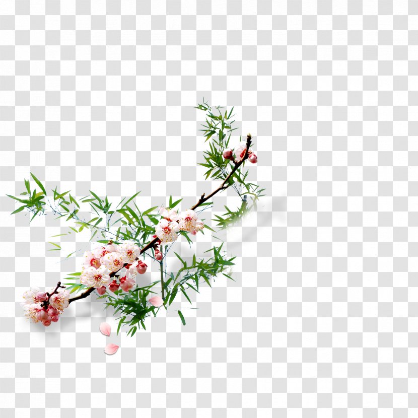 Bamboo Drawing Plum Blossom - Flower Transparent PNG